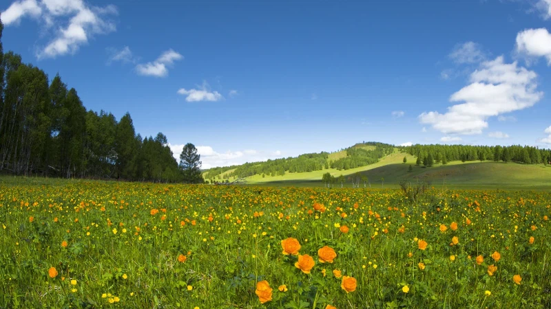 الأردن | استمرار الطقس المستقر ودرجات حرارة ادفأ من المعتاد الإثنين الأردن | استمرار الطقس المستقر ودرجات حرارة ادفأ من المعتاد الإثنين