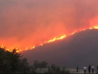 The worst wave of fires in decades continues on the Syrian coast, and several factors, most notably active winds, are hindering their decline.