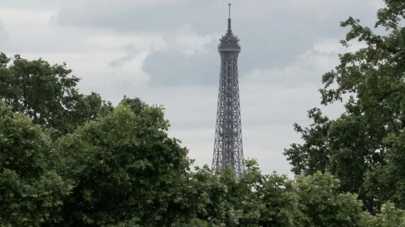 بالفيديو | على عكس المتوقع زوار حديقة بباريس يلاحقون دوامة هوائية بالفيديو | على عكس المتوقع زوار حديقة بباريس يلاحقون دوامة هوائية