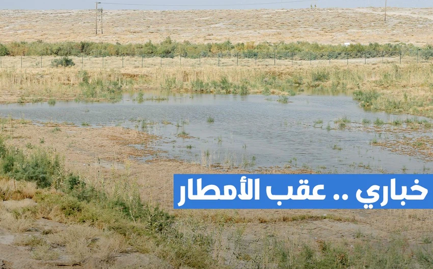 مشاهد من أمطار الكويت الغزيرة وكيف غمرت أجزاء من الأرض وحولتها إلى برك مائية