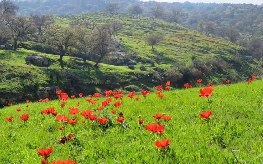 Belle beauté : 12 000 000 visiteurs ont profité de la source de la Brigade Koura à Irbid, au nord de la Jordanie