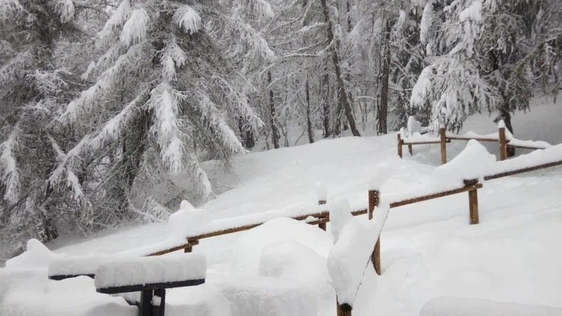 تترافق بتساقط الثلوج الكثيفة فوق جبال الألب.. اضطرابات جوية قوية تؤثر على جنوب أوروبا الأيام القادمة | عرب تايم تترافق بتساقط الثلوج الكثيفة فوق جبال الألب.. اضطرابات جوية قوية تؤثر على جنوب أوروبا الأيام القادمة | عرب تايم