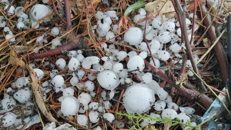 ما حقيقة تساقط الثلوج على الإسكندرية في مصر يوم أمس الجمعة؟ | عرب تايم ما حقيقة تساقط الثلوج على الإسكندرية في مصر يوم أمس الجمعة؟ | عرب تايم