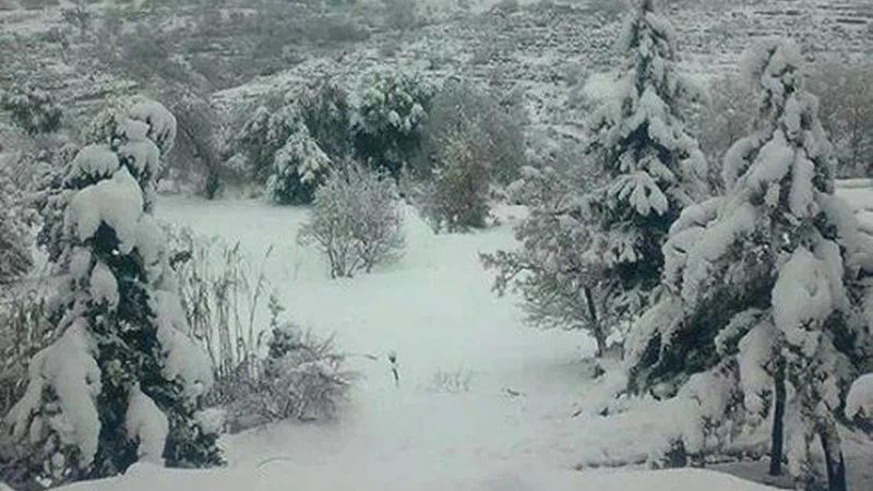 عاصفة ثلجية تاريخية كست سواحل بلاد الشام بالثلوج قبل 70 عامًا (شاهد الفيديو) | عرب تايم عاصفة ثلجية تاريخية كست سواحل بلاد الشام بالثلوج قبل 70 عامًا (شاهد الفيديو) | عرب تايم