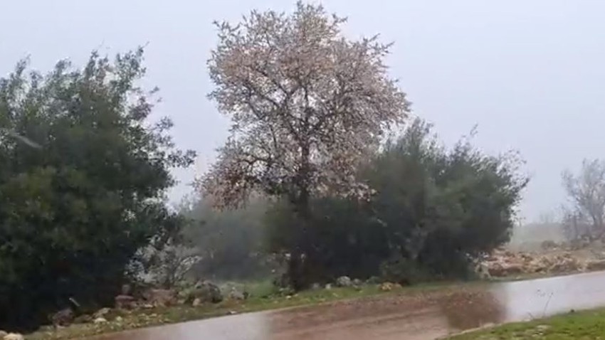 live broadcast | Scenes of snow showers starting now in Ibbin - Ajloun