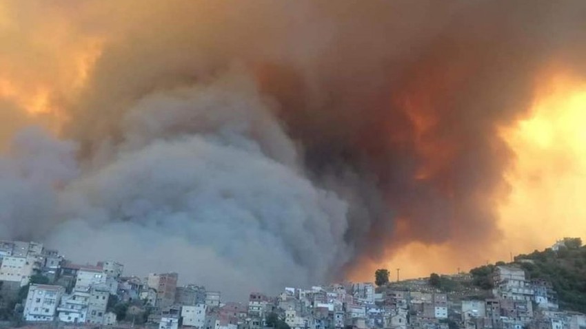 الجزائر تحترق | ارتفاع عدد ضحايا الحرائق إلى 65 شخص "رحمهم الله" معظمهم من المدنيين