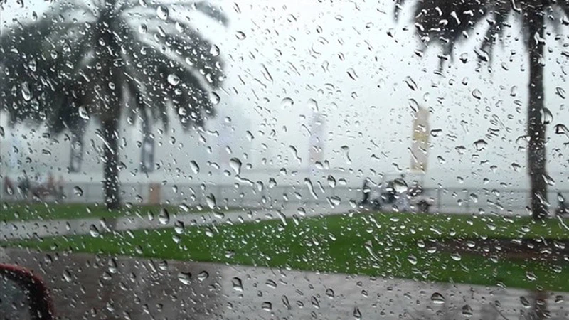 امطار المنخفض الجوي 16-19 شباط يحسن الموسم المطري 2020/2021 بنسب تراوحت ما بين (1% إلى 27%) امطار المنخفض الجوي 16-19 شباط يحسن الموسم المطري 2020/2021 بنسب تراوحت ما بين (1% إلى 27%)