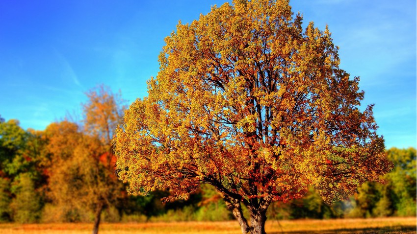 Jordanie : Temps d&#39;automne doux dans la plupart des régions du Royaume, les premiers jours de la saison d&#39;automne