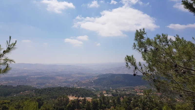 Forêts de Dibeen en Jordanie... où la diversité unique du terrain et de la faune Forêts de Dibeen en Jordanie... où la diversité unique du terrain et de la faune