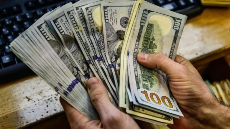 براتب 170 ألف دولار سنويا.. بلدية نيويورك تعلن عن حاجتها لمن يشغل براتب 170 ألف دولار سنويا.. بلدية نيويورك تعلن عن حاجتها لمن يشغل