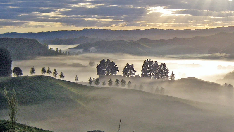 تعبيرية ضباب التبخر