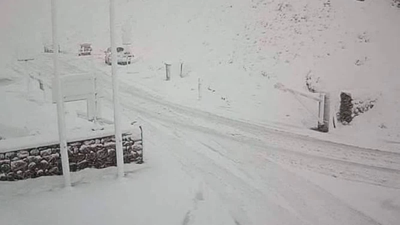 ثلوج جبال الألب بالصور.. الثلوج تغطي جبال الألب في تموز/ يوليو على ارتفاعات متدنية