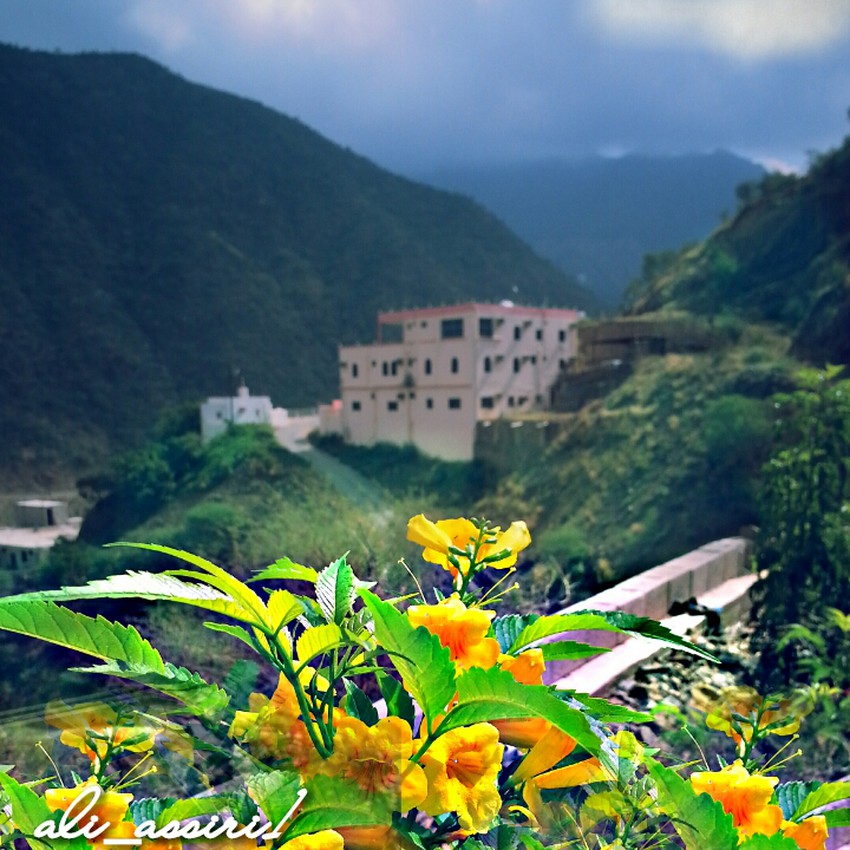 أمطار متوقعة على أبها خلال الأيام المقبلة طقس العرب