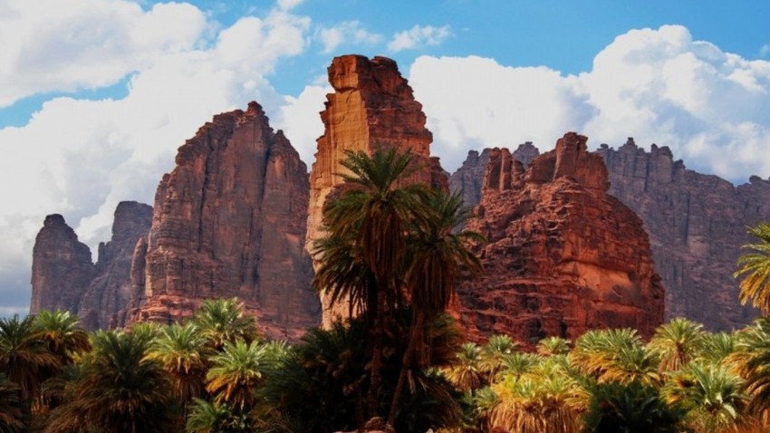 جمال الديسة في تبوك طقس العرب طقس العرب