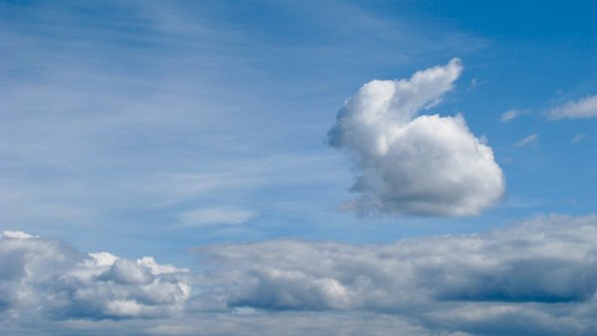 Why do we sometimes see in the shapes of clouds images of animals and human faces?!
