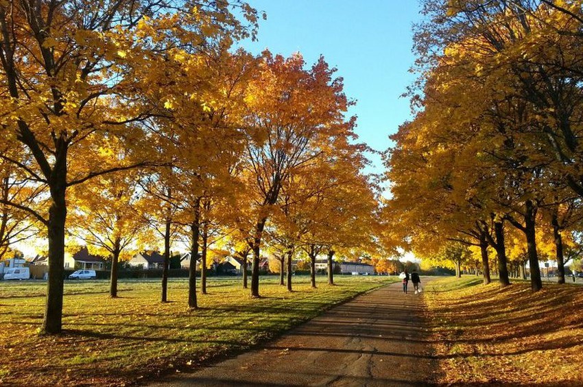 اليوم هو الأول من سبتمبر أيلول البداية الفعلية لفصل الخريف في علم الأرصاد طقس العرب