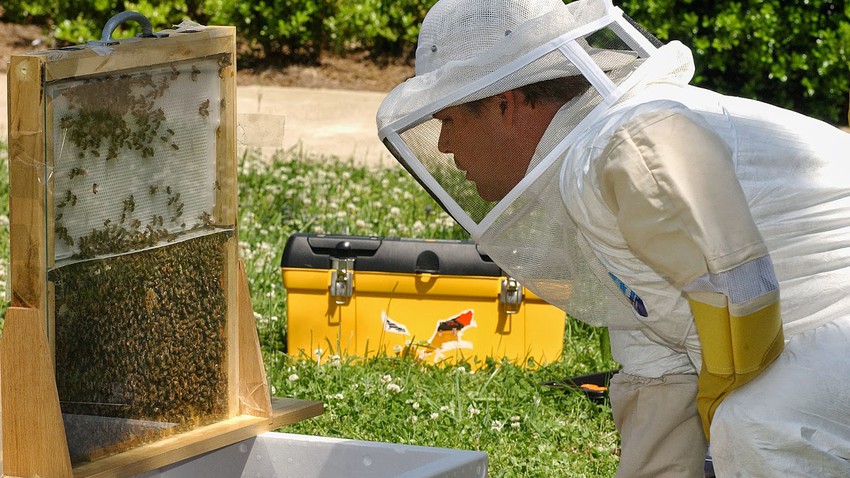 عيش تجربة ممتعة في تربية النحل وإنتاج العسل مع مربو النحل في الأردن