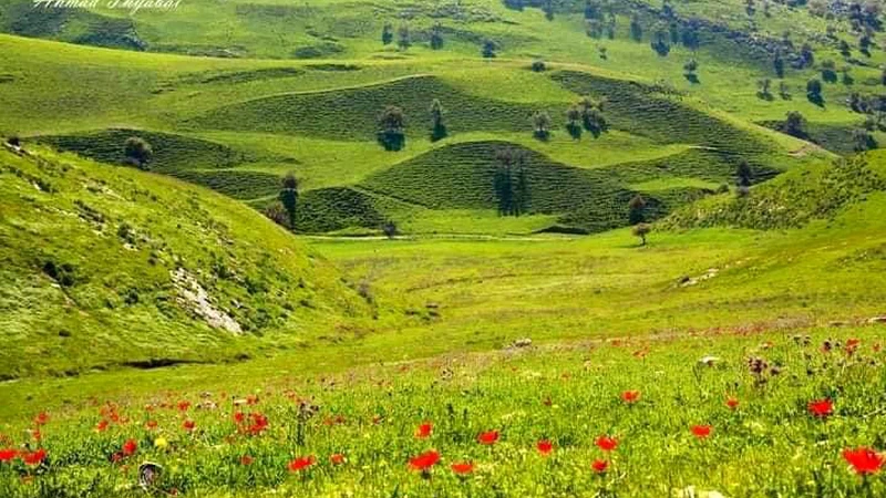 Spring In Jordan Jordan weather: the magic that attracts tourists to the hospitable ...