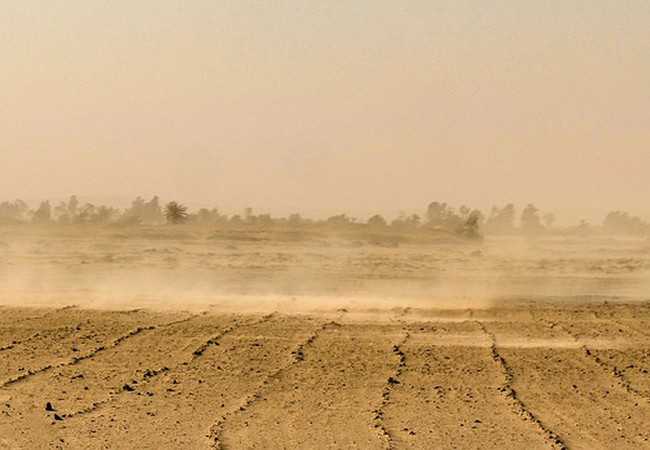 الغبار تأثيره على صحة الإنسان وكيفية الوقاية منه طقس العرب طقس العرب