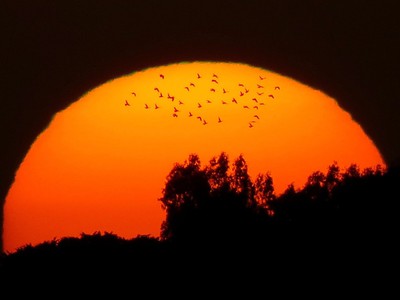 نتائج البحث عن اليمن طقس اب طقس العرب