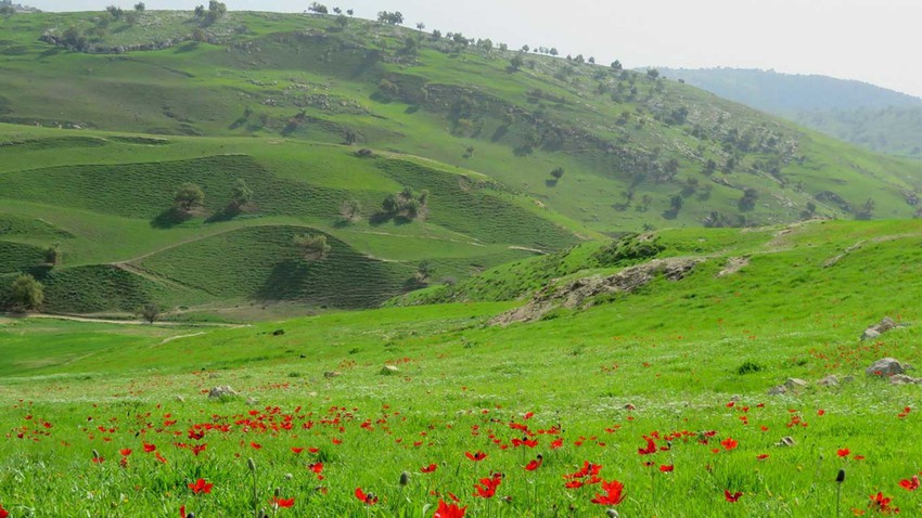 The most beautiful tourist destinations in Irbid.. Bride of the North