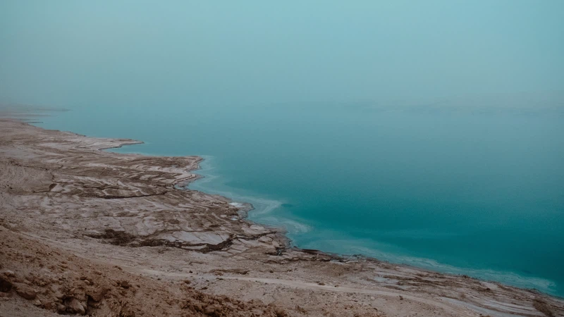 أجواء مناسبة للرحلات يومي الجمعة والسبت في العديد من المناطق أجواء مناسبة للرحلات يومي الجمعة والسبت في العديد من المناطق