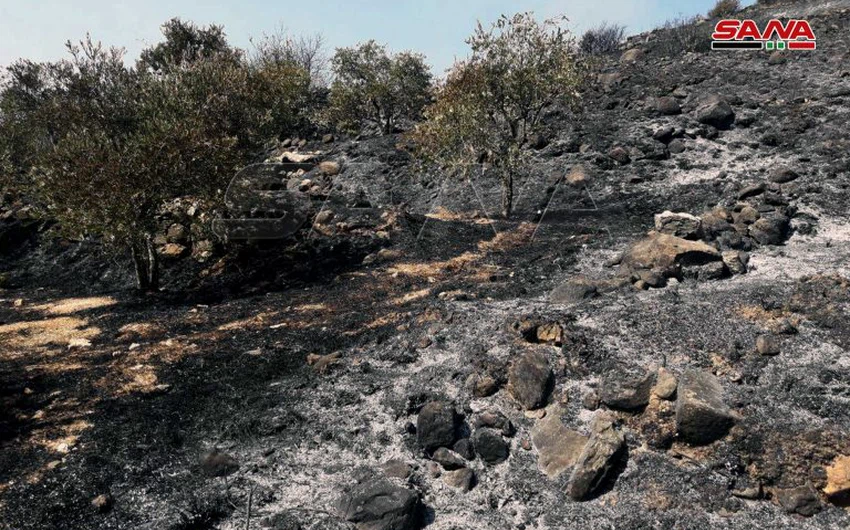سوريا | بسبب ارتفاع درجات الحرارة... حرائق الغابات مستمرة غرب البلاد وفرق الإطفاء تكافح لإخمادها