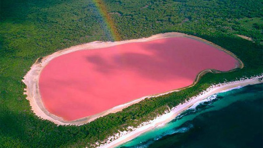بالفيديو والصور | بحيرات باللون الوردي الرائع