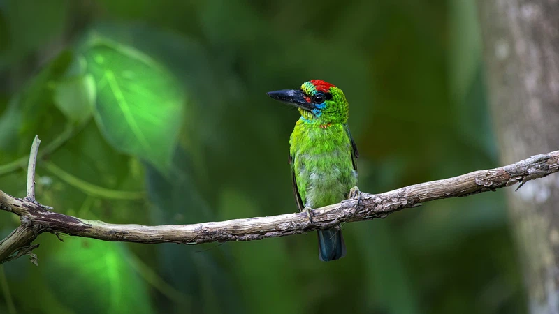 رحلات سياحية ممتعة في تايلاند رحلات سياحية ممتعة في تايلاند