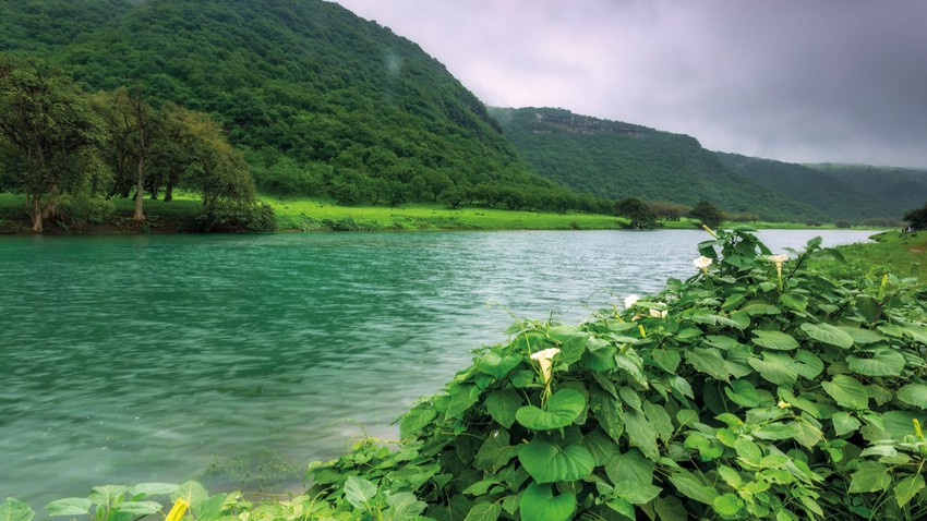 تعرف على خريف صلالة موسم الخريف في عز الصيف طقس العرب طقس العرب