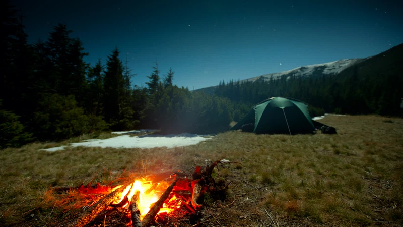 معنى الكشتة .. من أين جاء؟  معنى الكشتة .. من أين جاء؟