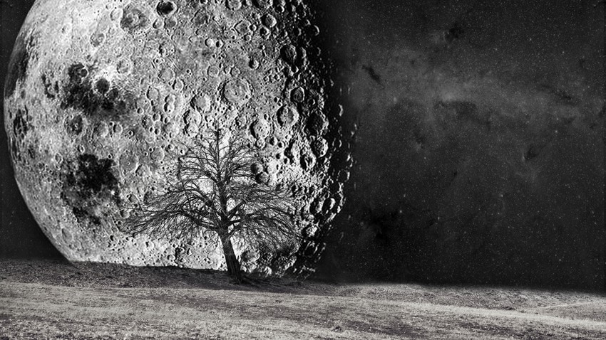 القمر الوردي العملاق يظهر خلال ساعات وبث مباشر للظاهرة النادرة الحرة