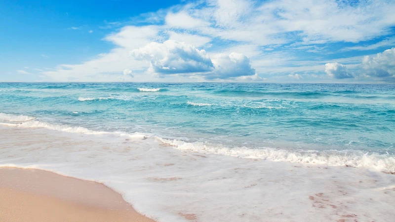 غالبا غائم غالبا غائم