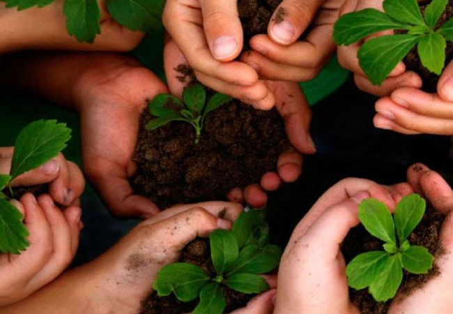 يوم البيئة العالمي تاريخه وأهدافه طقس العرب