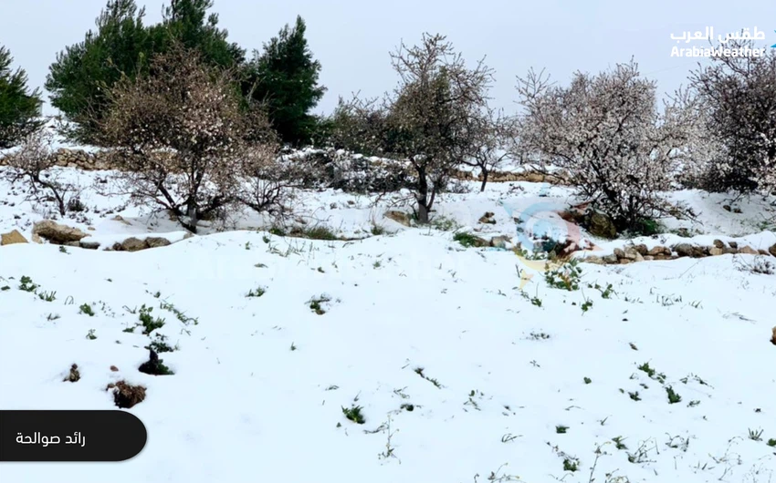 بالصور | مندوبو طقس العرب يلتقطون أجمل مشاهد الثلوج في مختلف محافظات الأردن