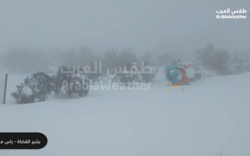 Pictures | Arab Weather representatives capture the most beautiful snow scenes in various governorates of Jordan