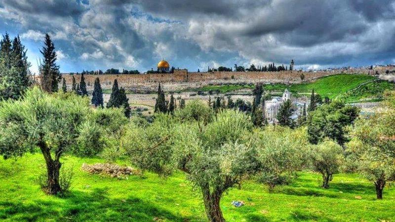 Spring In Palestine أجواء ربيعية ستسود فلسطين خلال عطلة نهاية هذا الأسبوع | ArabiaWeather ...