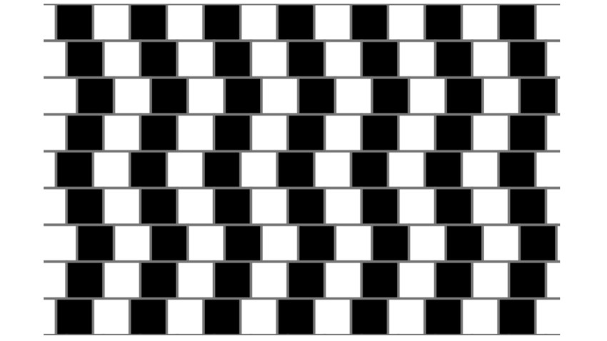 Puzzles and optical illusions that will blow your mind!