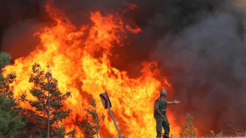 هل يمكن لحرائق الغابات أن تشتعل من تلقاء نفسها أم لابد من فاعل؟!