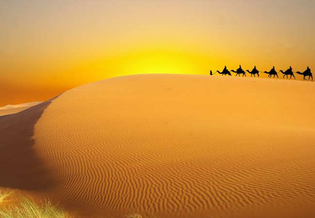 معلومات عن التصحر وإحصائيات عن التصحر في العالم طقس العرب