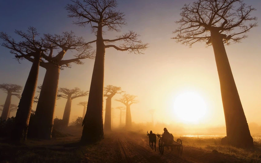 5 reasons to travel to Madagascar