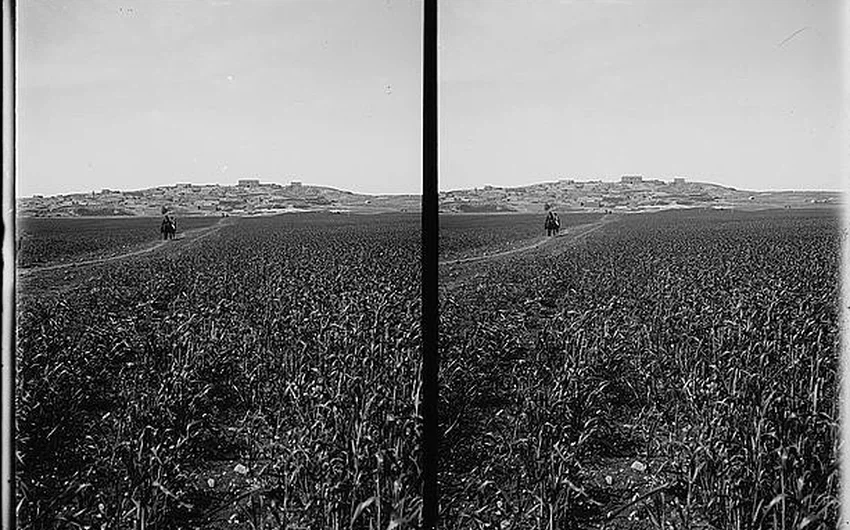 قرية إربد وسط حقول القمح ما بين الأعوام 1900 و 1920