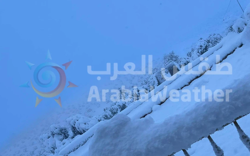 Snow Jordan | Distinctive art paintings made by Al-Khalek 2/19/2021