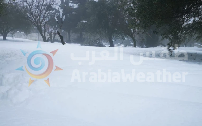 Snow Jordan | Distinctive art paintings made by Al-Khalek 2/19/2021