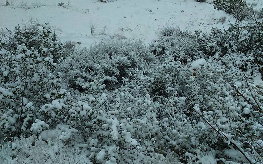 بالصور : الثلوج تغطي أجزاءاً واسعة منخفضة الارتفاع من شمال ووسط سوريا وبدأت بالامتداد الى جنوب البلاد