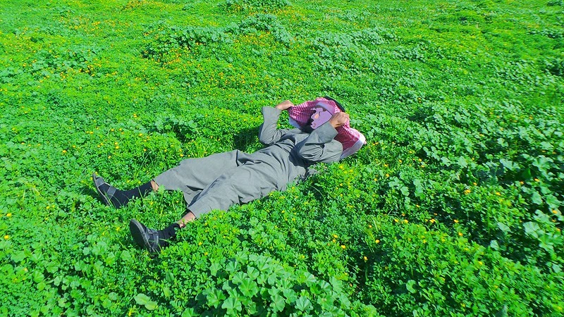 The 30 most beautiful pictures you may see in your life of spring and ...