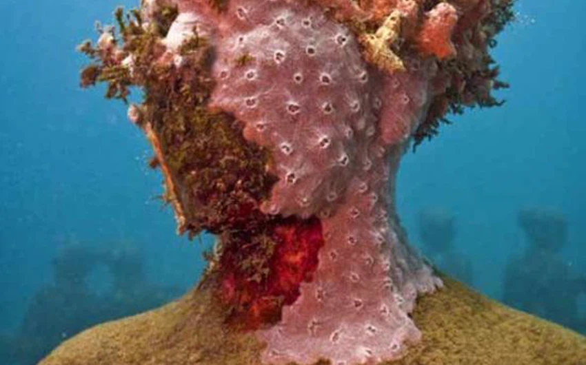 تمثال مُغطى بالشُعب المرجانية 