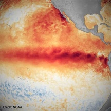 What is the El Niño phenomenon?