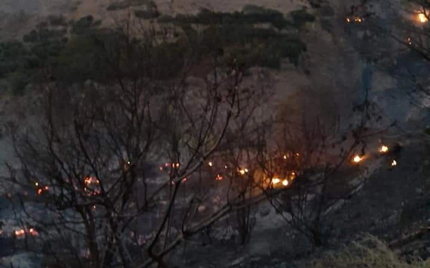 Pictures | Fires in farms in the Deir Abi Saeed area, west of Irbid, since the afternoon hours and continue until now