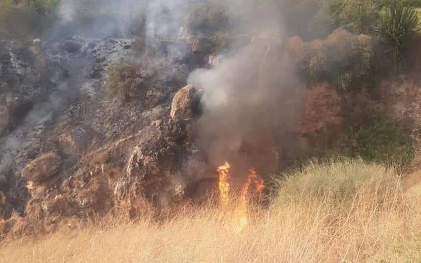 Pictures | Fires in farms in the Deir Abi Saeed area, west of Irbid, since the afternoon hours and continue until now